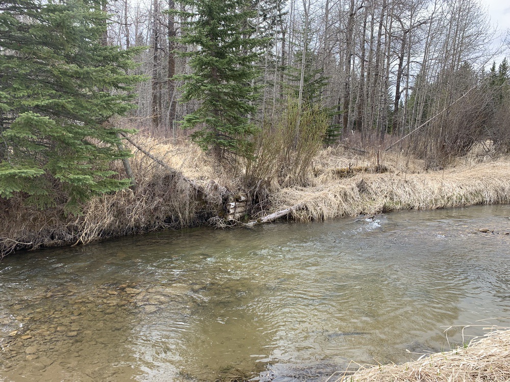 Dogpound Creek Riparian Protection - Diamond K Ranching Property